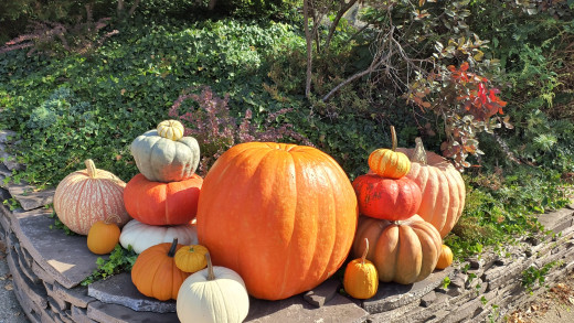 1756200 (a): :1920x1080